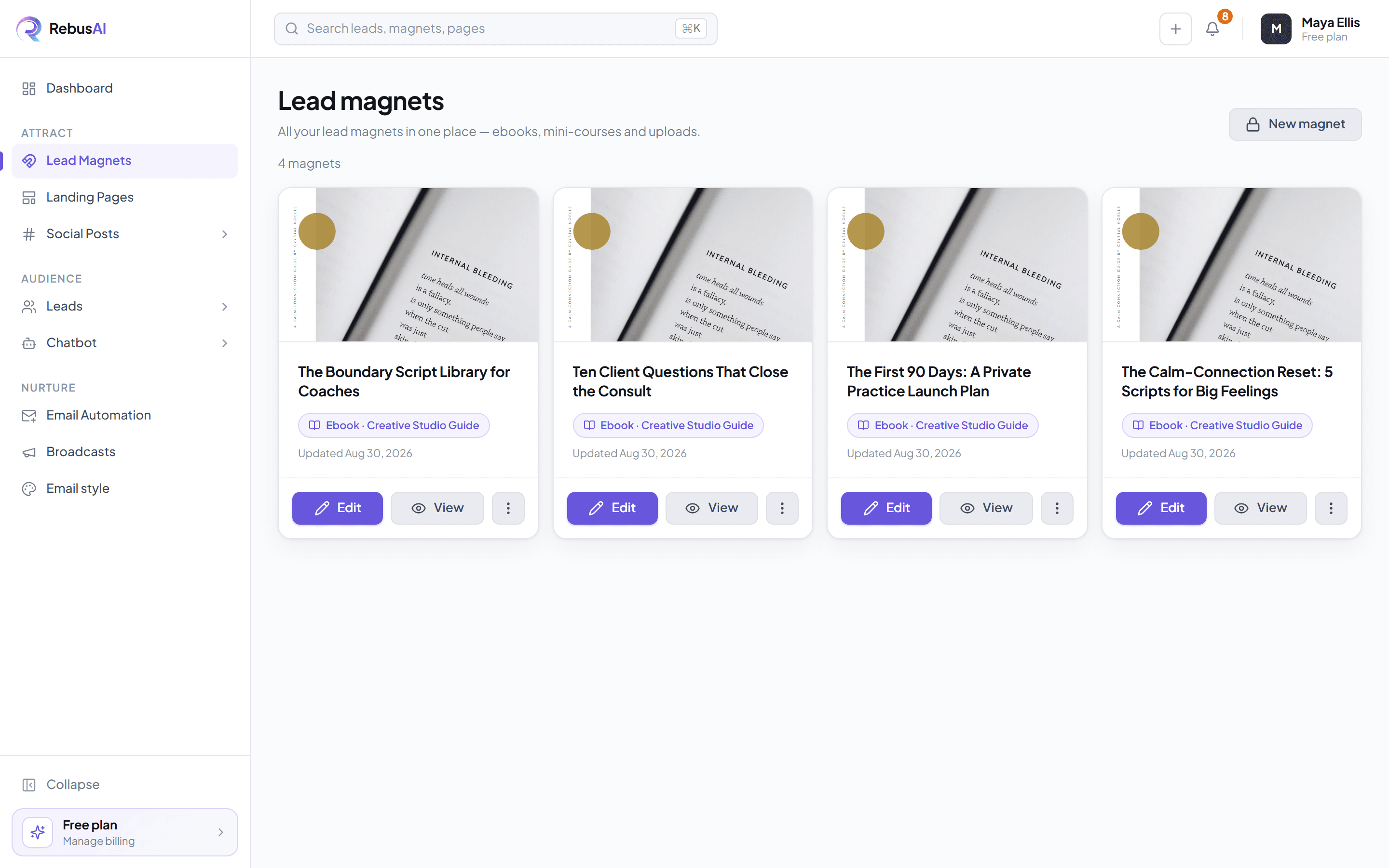 The lead magnet library, showing four generated guides